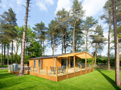 Modern lodge set within pine trees and surrounded by grass