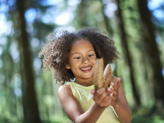 Young girl looking at pine cones in the forest