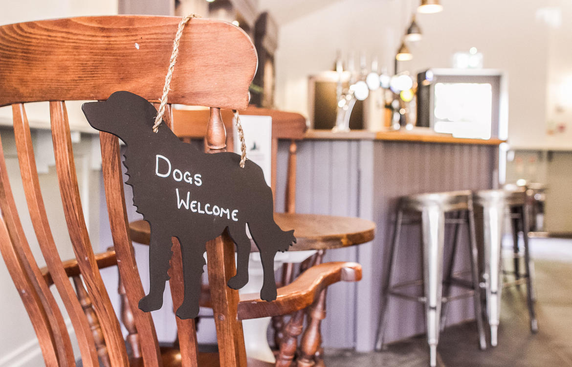 Dogs welcome sign, hung over the back of a chair in the Bar area