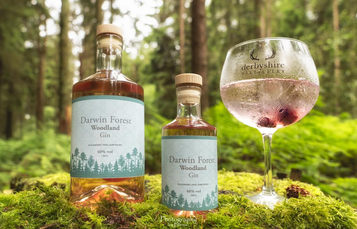 Darwin Forest branded gin displayed in woodland setting