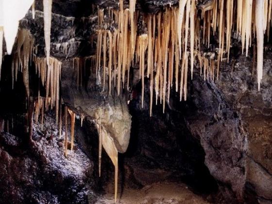Stalactites hanging from the ceiling of a cavern