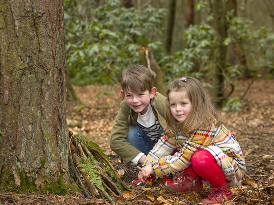 Forest Activity Pack