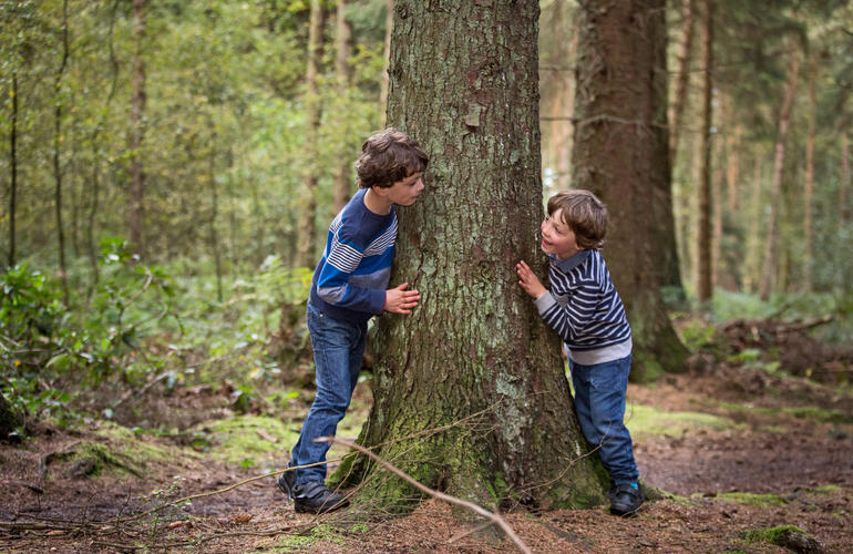 Two brothers playing around a tree in the forest
