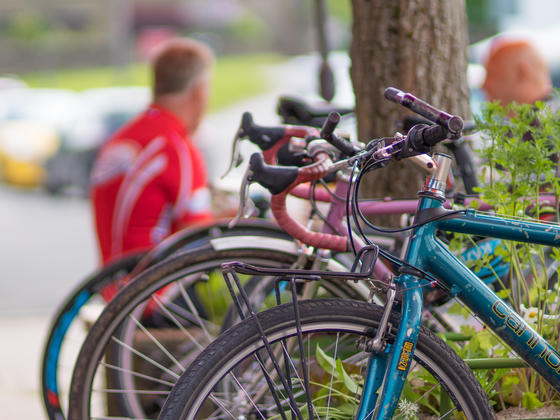 Collection of road bikes, which cyclists enjoying a break in the distance