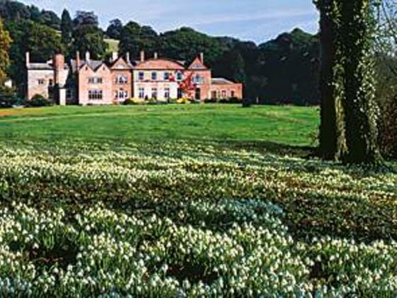 Snowdrops with Hopton Hall in the background