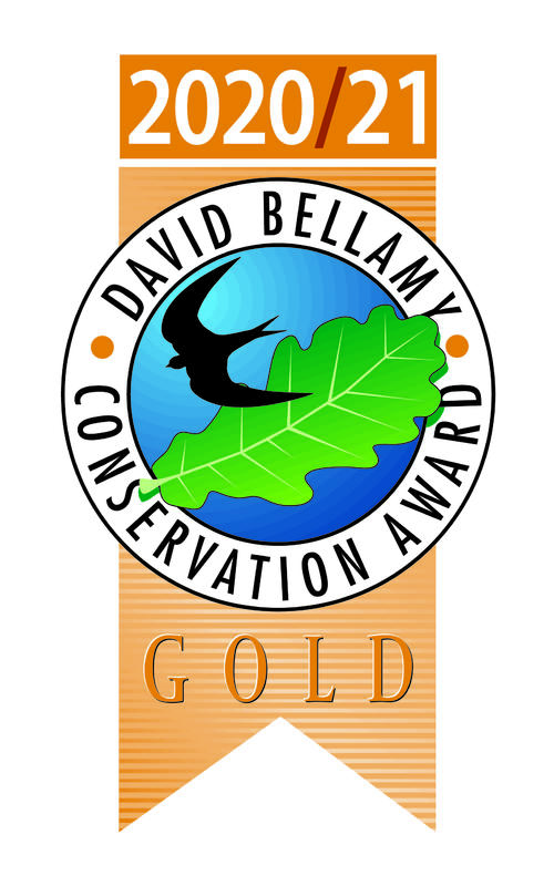 David Bellamy Logo